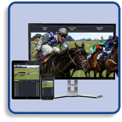 Different Devices - Smartphone - Tablet - Computer Monitor - Horses Racing Coming Out of the Screen