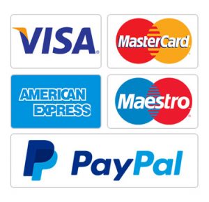 Visa, Mastercard, AMEX, Maestro, Paypal