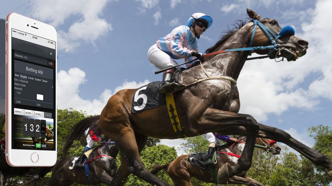 7 and a Half Very Simple Things You Can Do To Save bluechip sports