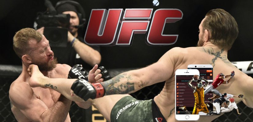 Mma sports betting election betting odds comparison sites