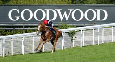 Goodwood Racecourse - Horse Racing