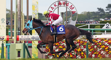 Nakayama Grand Jump - Horse Racing at Nakayama Racecourse