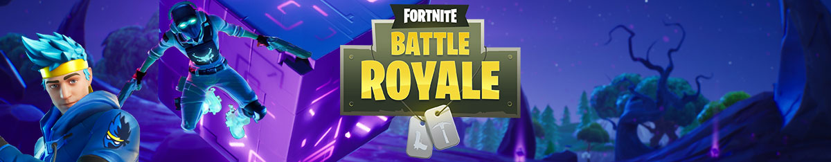 Fortnite Battle Royale Ninja Banner