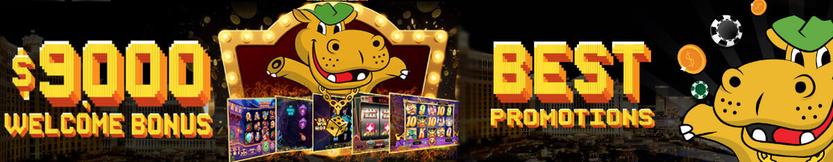 Lucky Hippo Promotions TSG