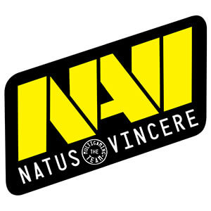 Natus Vincere Logo TSG