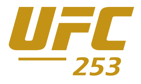 UFC 253 Logo