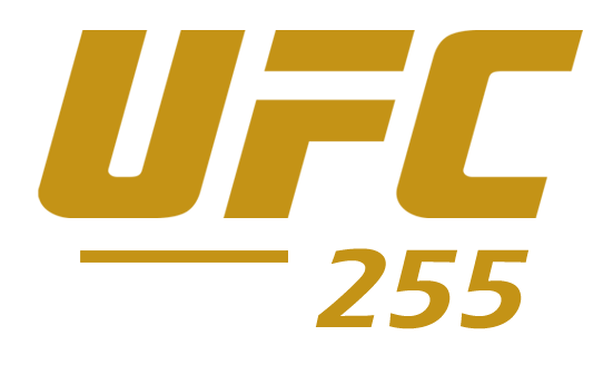 UFC 255 Logo