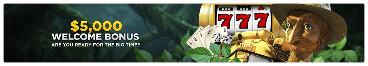 Wild Casino Welcome Bonus Banner