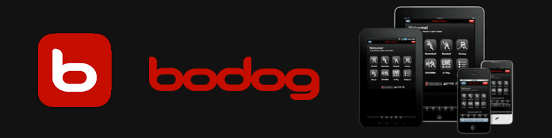 Bodog Logo Banner