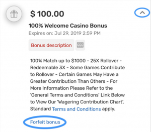 Bovada Casino Bonus Description