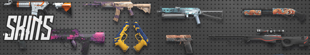 Video Games Weapons Skins Banner