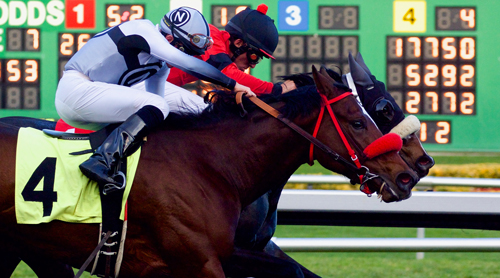 What is a Exacta Bet in Horse Racing