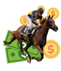 Horse Racer with Money