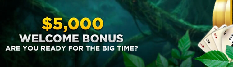 5000 Welcome Bonus Wild Casino