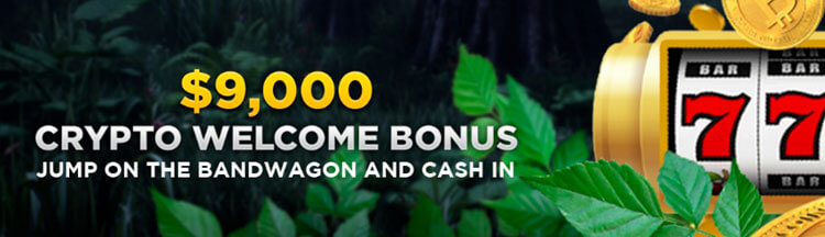 Crypto Welcome Bonus Wild Casino