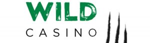Logo Wild Casino