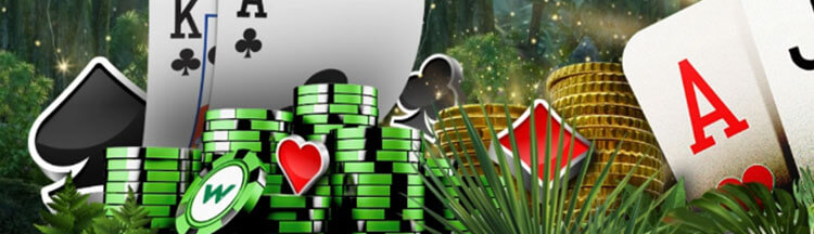 Types Of Bonuses Wild Casino
