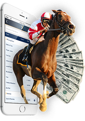 Horse Racing - Mobile Phone - Cash Fan