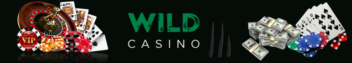 Wild Casino Welcome Banner