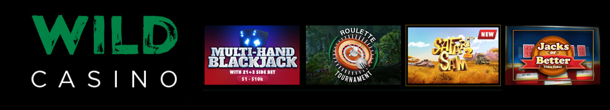Wild Casino Games Banner