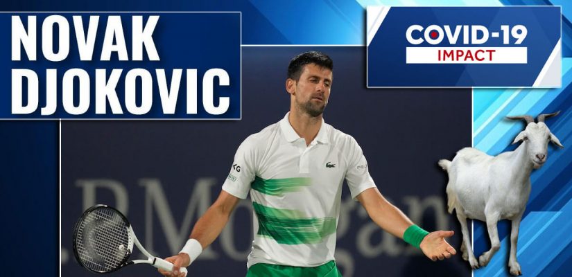 Novak Djokovic Tennis Escaped Goat Covid Impact Background