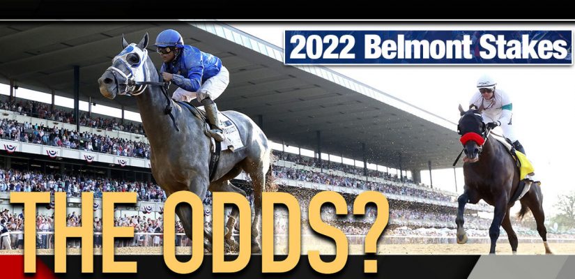 Belmont Stakes 2022 Odds