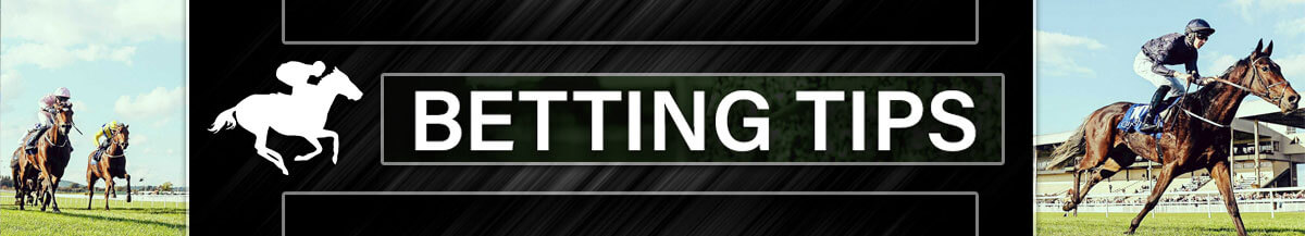 professional horse betting advice soccer