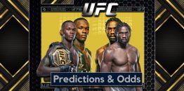 UFC 276 Predictions And Odds