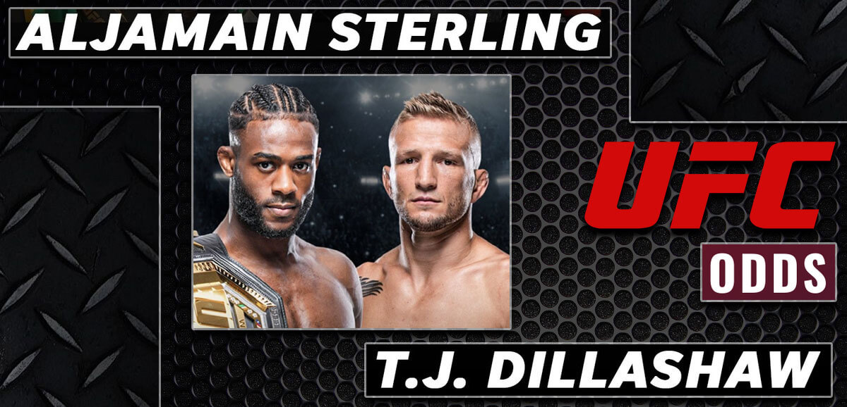 Les cotes des paris Sterling vs Dillashaw se rapprochent depuis l’ouverture, Webdiscount Shop
