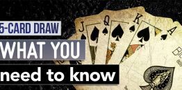 5 Card Draw What You Need To Know