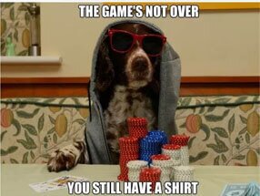 Shirt Dog Meme