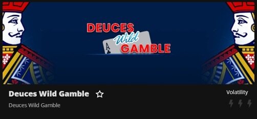 Deuces wild video poker game