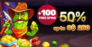 Friday Reload Bonus PlayAmo