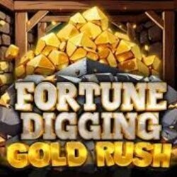Fortune Digging: Gold Rush