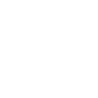 Bonus icon