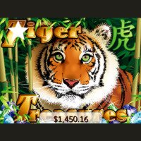 Tiger Treasures