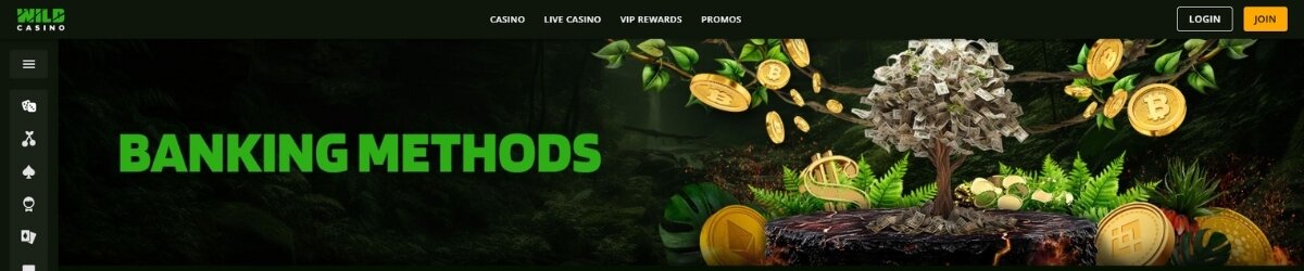 Wild Casino Banking Banner