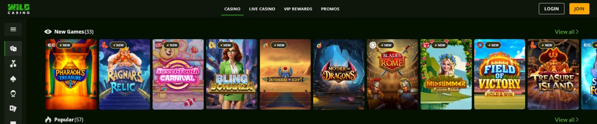 Wild Casino Games Banner