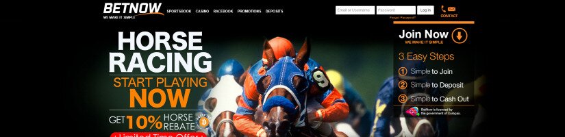 Screenshot of BetNow website advertising the racebook.