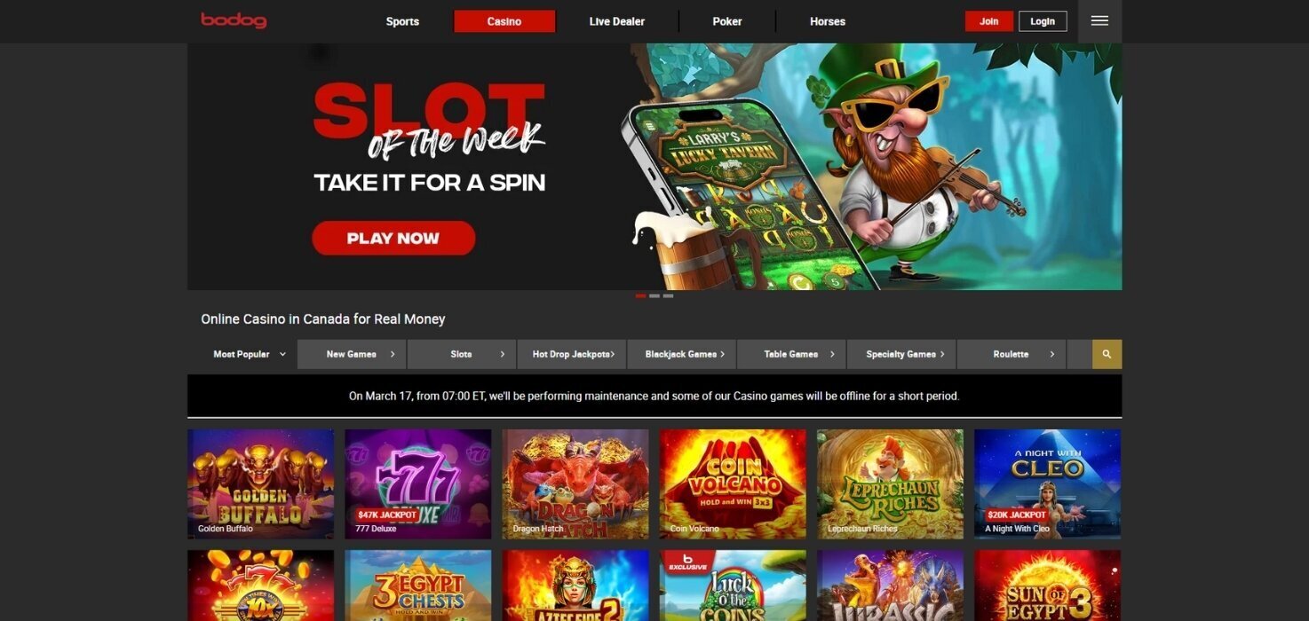 Bodog casino interface