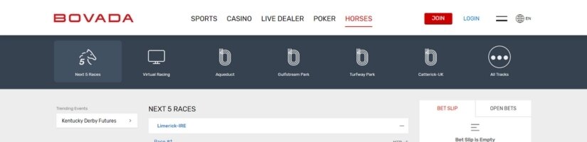 Bovada Horse Racing Banner