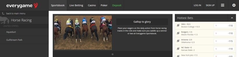 Everygame Horse Racing Banner
