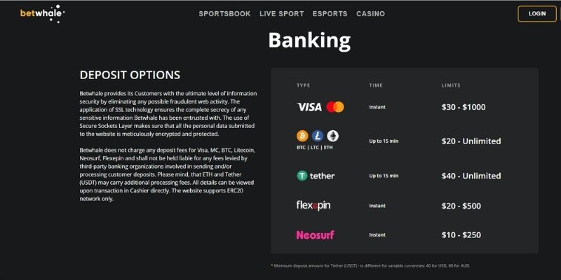 BetWhale banking