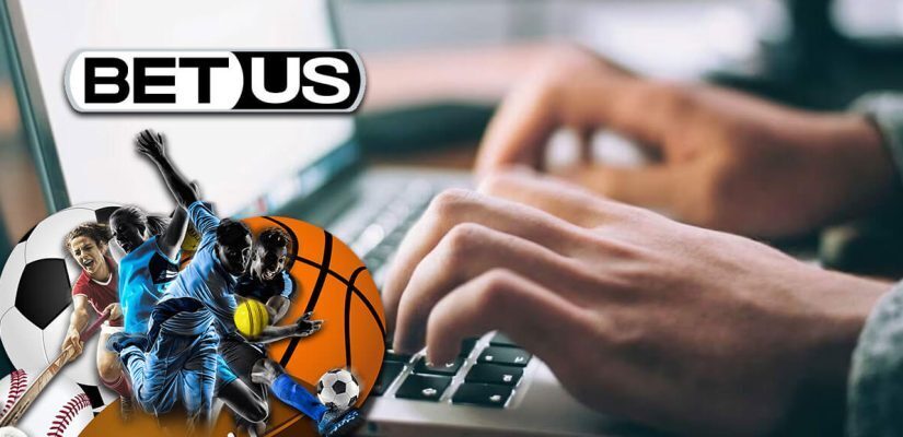 Beginners Guide Betus