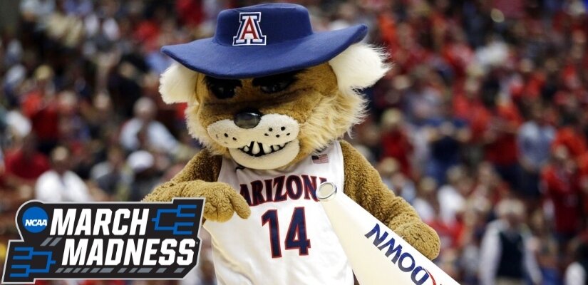 Arizona Wildcat mascot at the March Madness tournament.