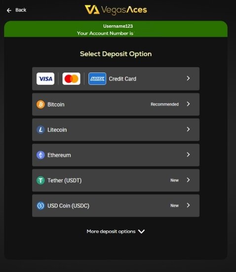 Vegas Aces deposit options box after sign up process.