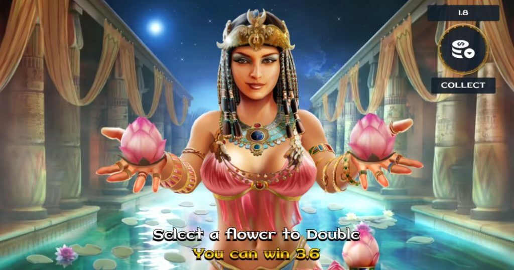 A Night With Cleo adult themed gamble feature.