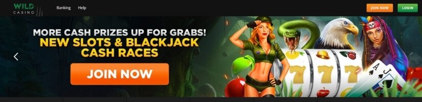 Wild Casino cash tournaments banner.