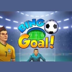 Bingo Goal