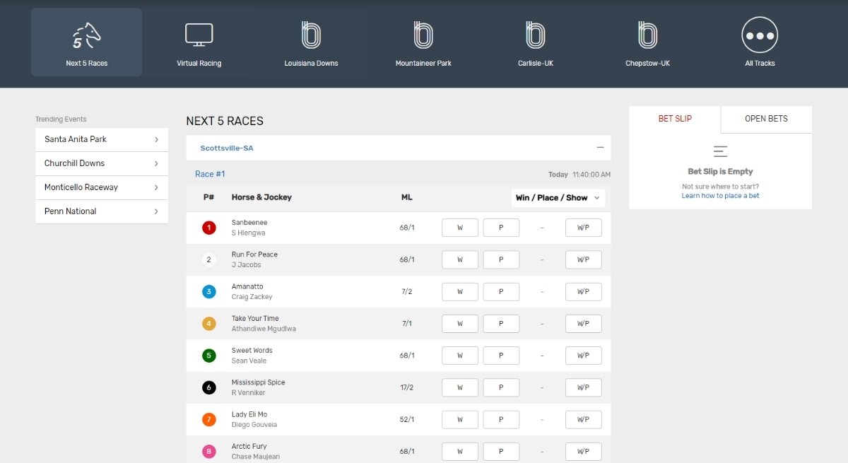 Bovada racebook